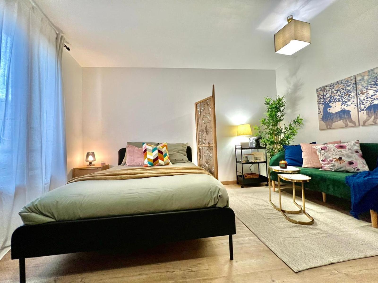 Appartement Avec Parking Prive Et Lave-linge, Coeur De *